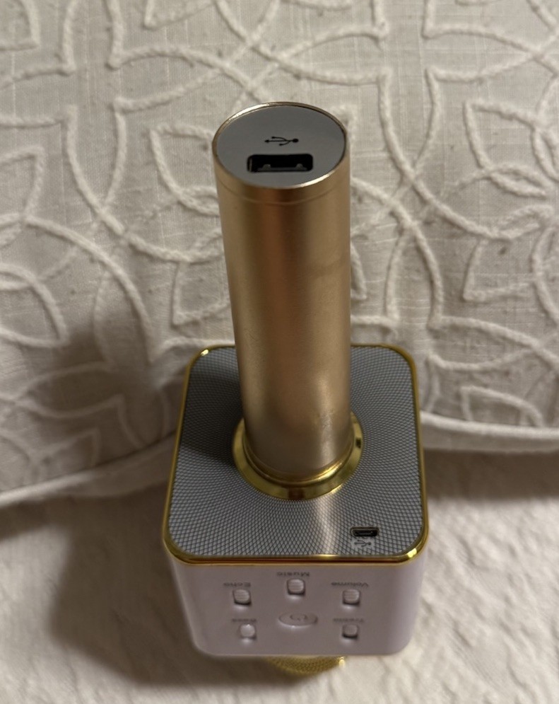Party2Go Bluetooth Karaoke Microphone (Gold)