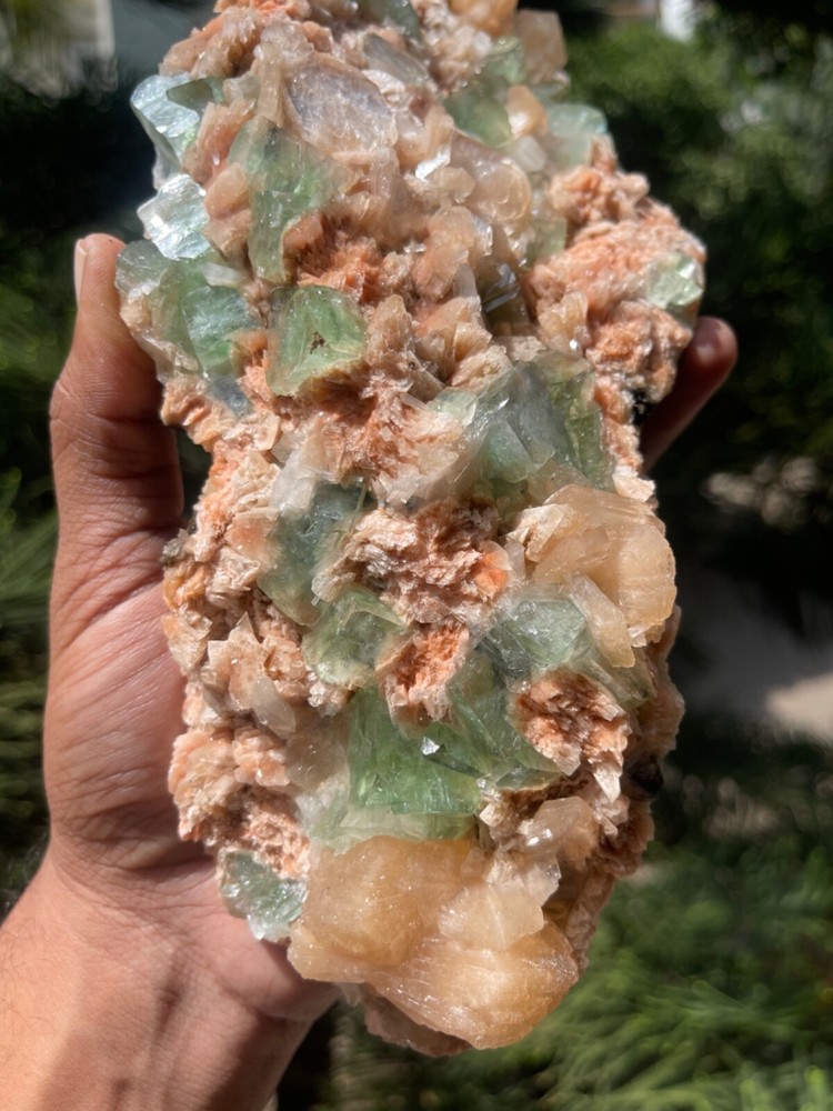 Dark green apophyllite cubes with stilbite