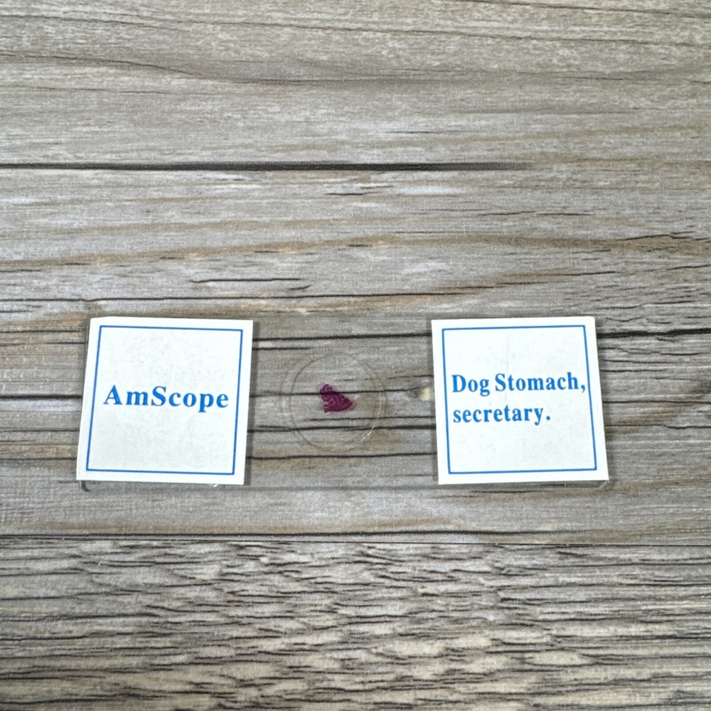 AmScope PS25 Prepared Microscope Slide Set