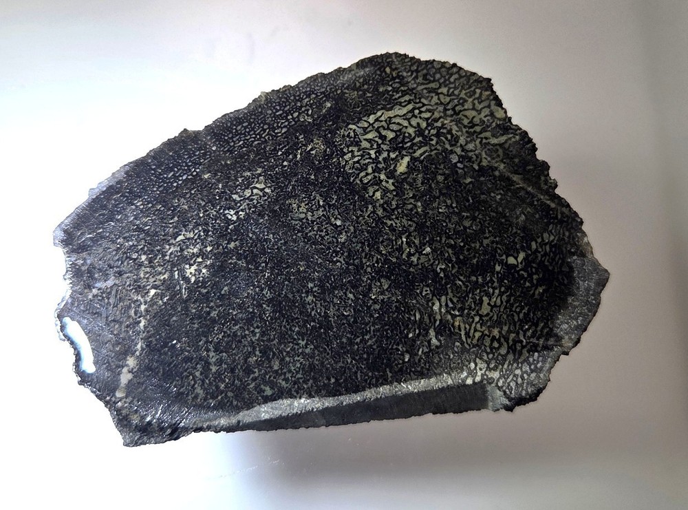 Agatized Gem Dinosaur Bone Slab      65.6 grams   SDB006