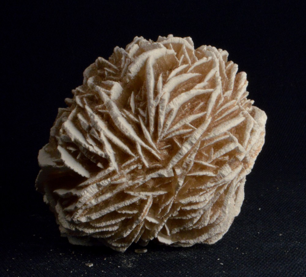 #8880 Selenite "Desert Rose" - Mexico