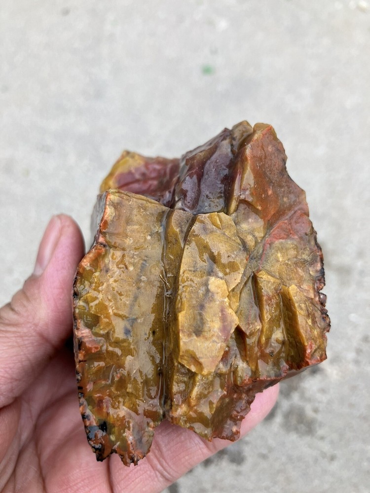 Arizona Petrified Wood
