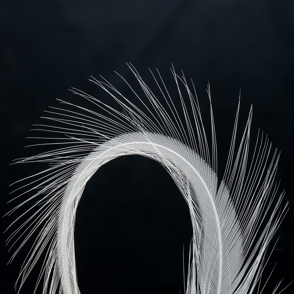 Metz Hackle Deceiver Pack - White