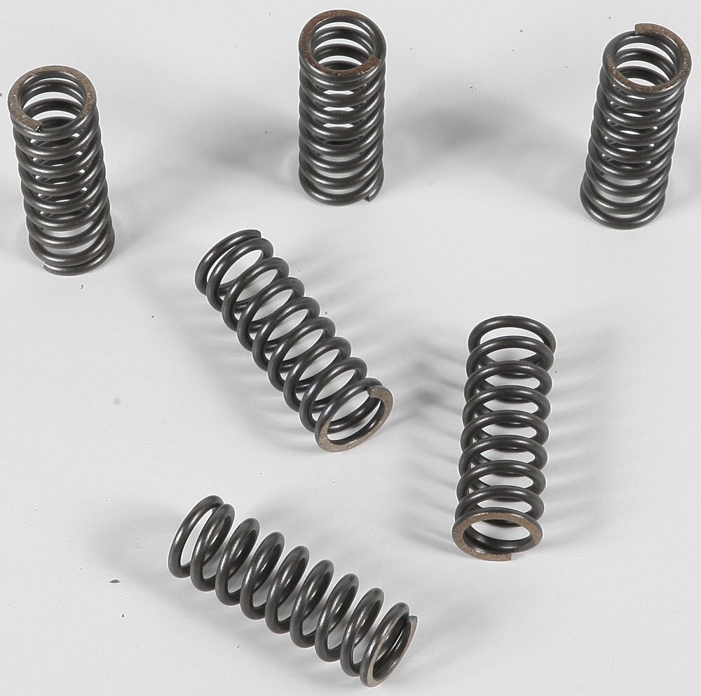 EBC CSK Clutch Spring Kit CSK45