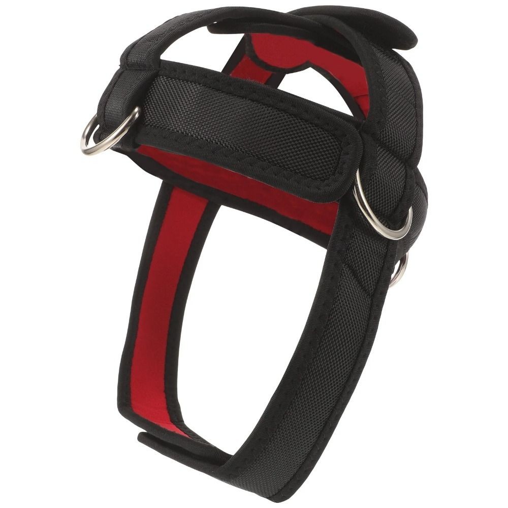 Black Head Training Harness Adjustable Neck Strength Training Strap Outdoor