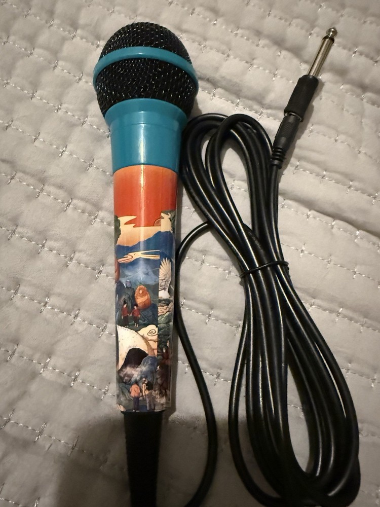 Karaoke microphone for kids