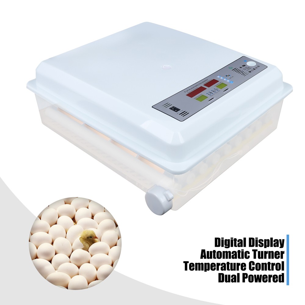 Single Tier Automatic Egg Turning Incubators Hatching Eggs Chicken Farm