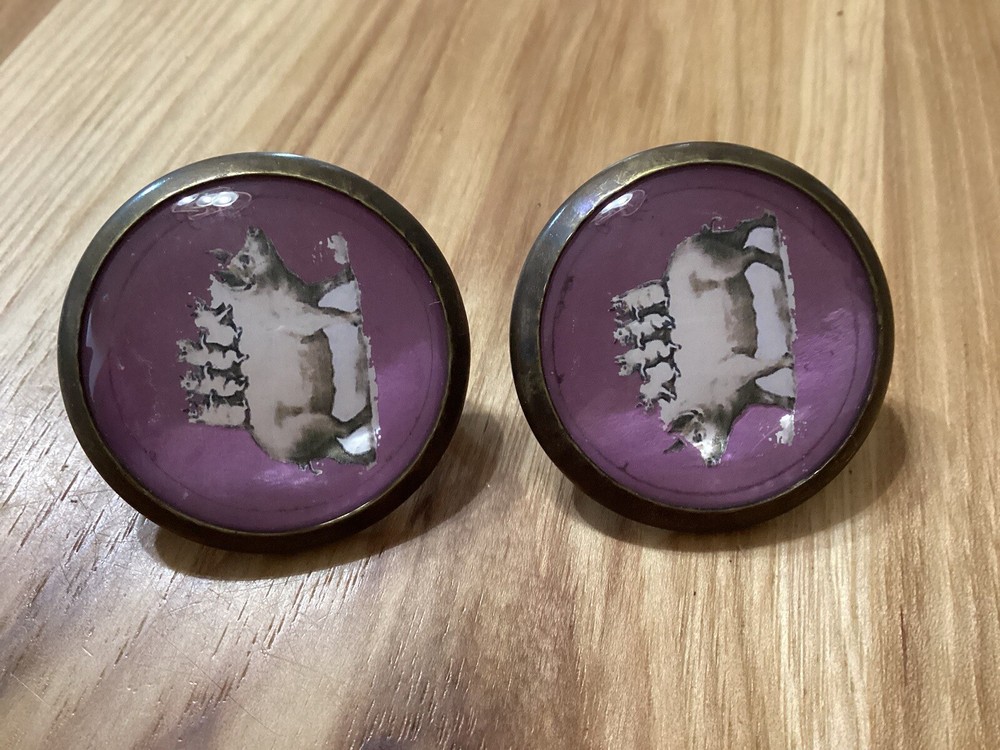 Horse Bridle Rosettes