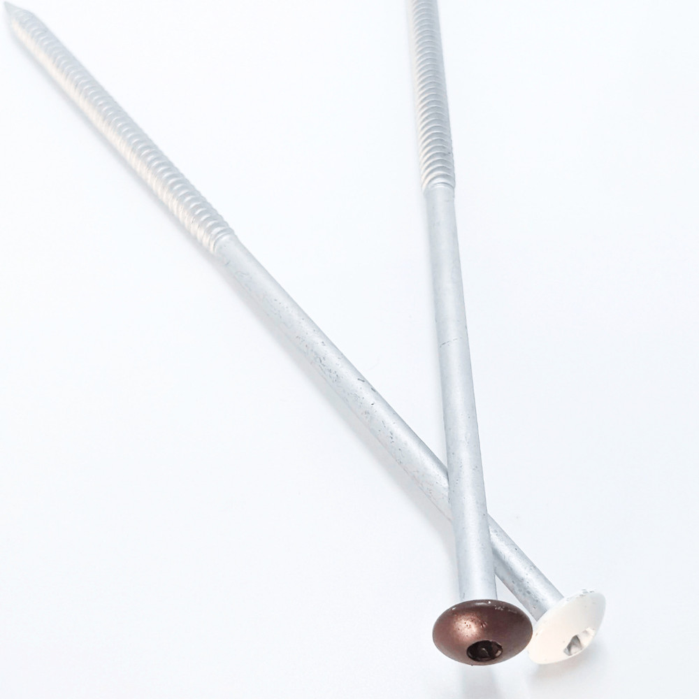 Painted Gutter Screws