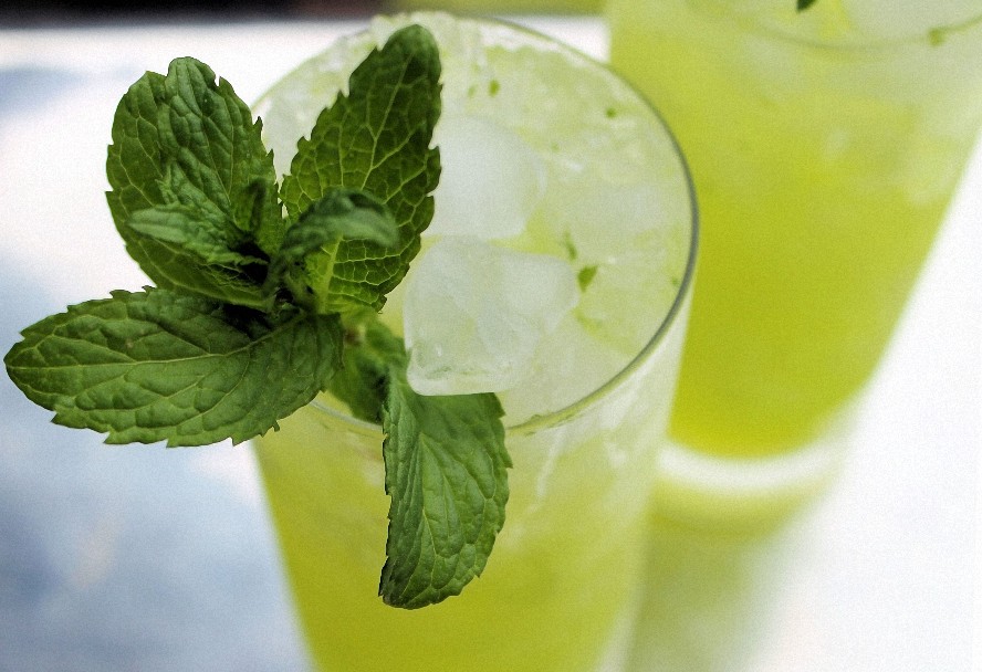4 oz Candle Scent Oil-LEMON MINT
