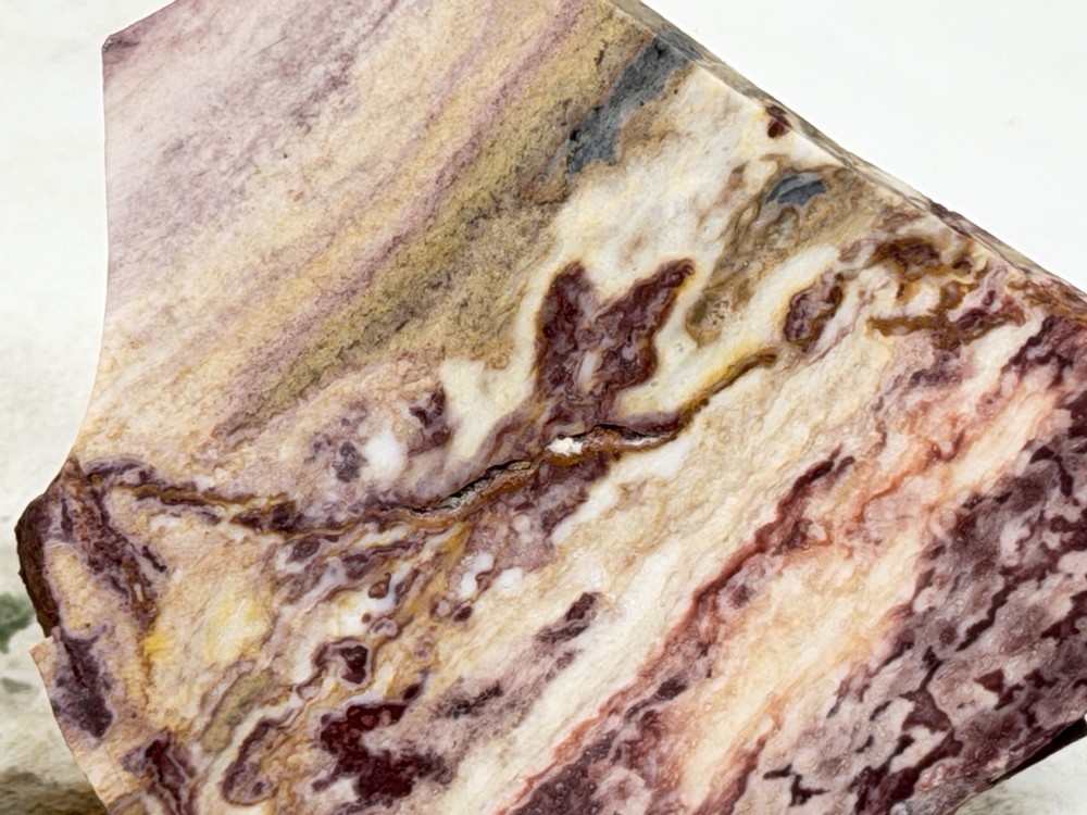 Windy Mountain Jasper Slab Set, Lot#204