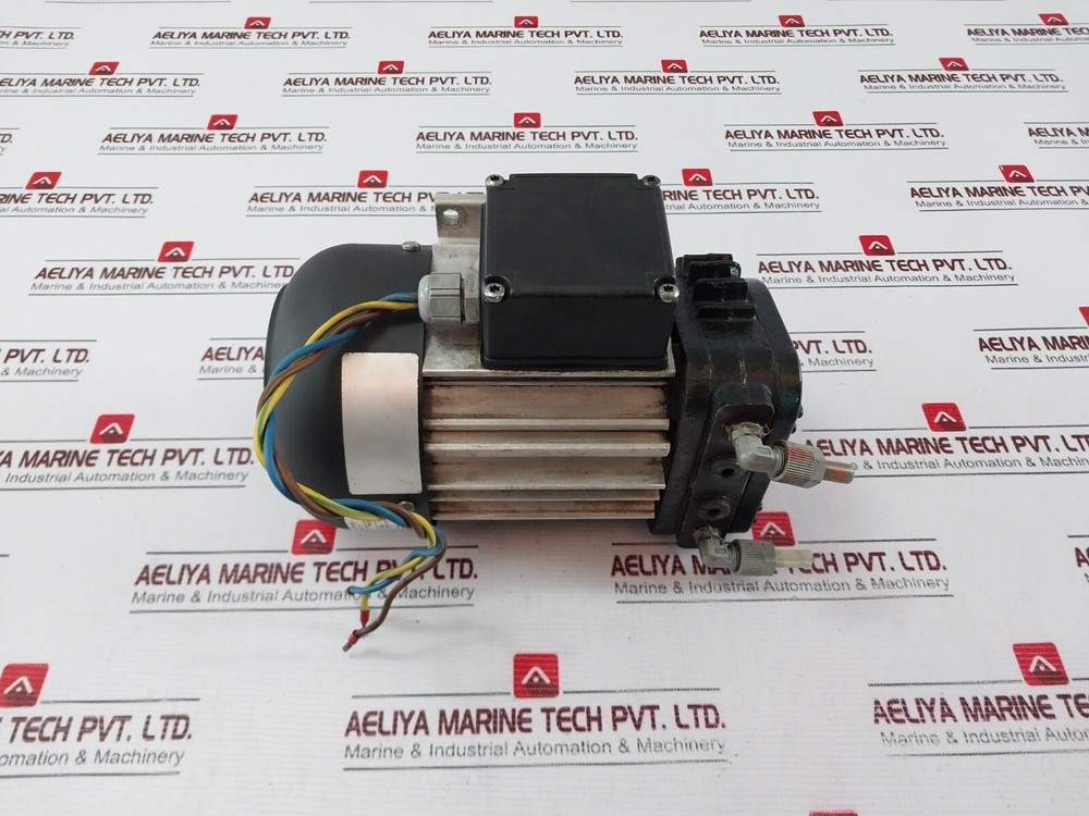 Thomas Picolino VTE 3 Rotary Vane Pump 25130110