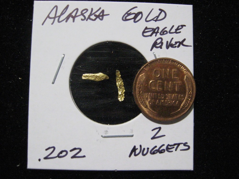 ALASKA GOLD NUGGETS EAGLE RIVER AREA  .202