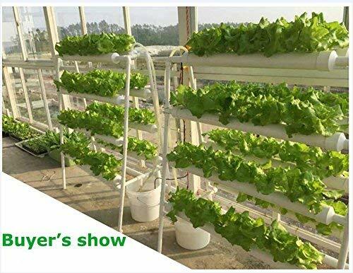 TECHTONGDA Vertical Hydroponic 36 Plant Site Grow System Kit 4 Pipes
