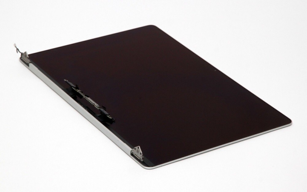 OEM A2141 Apple MacBook Pro 16" LCD Screen Display Assembly 2019 Silver Gray