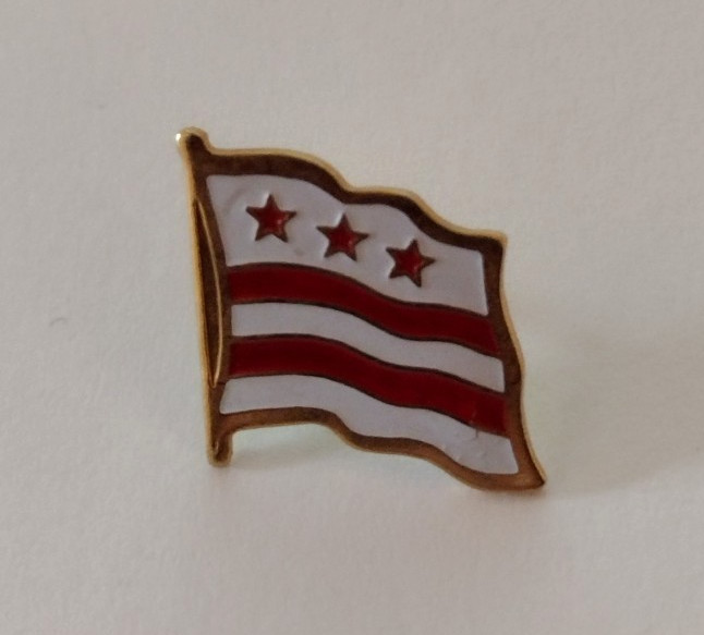 Washington DC Flag Pin