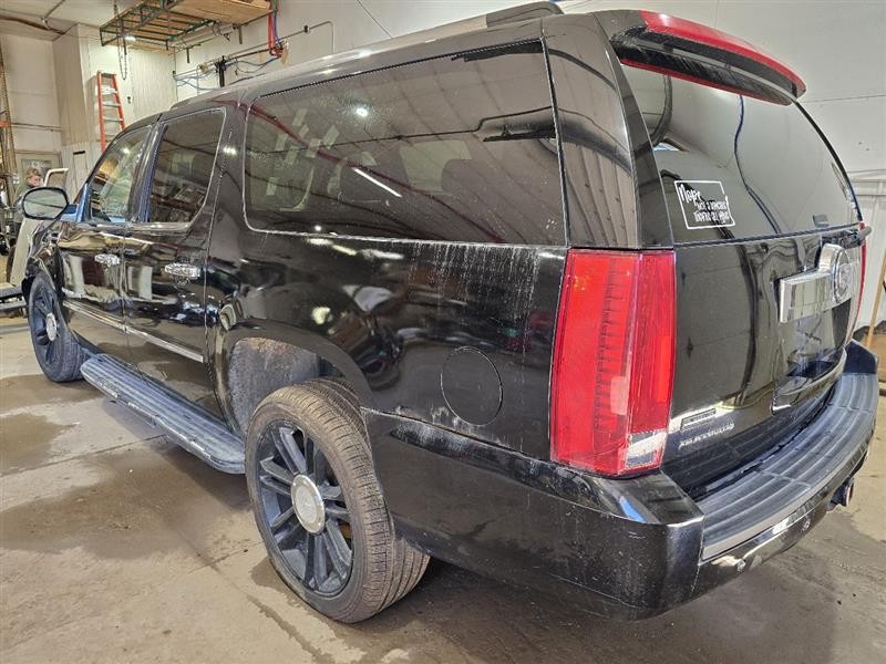 ESCALAESV 2011 Camera/Projector 588155