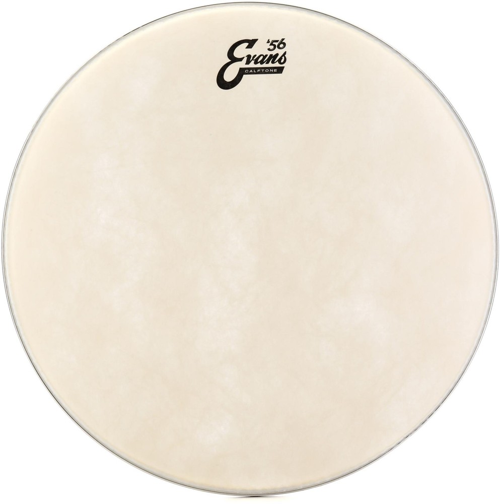 Evans Calftone Drumhead - 16"