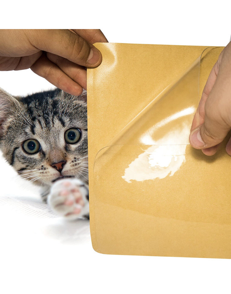 4 PC Self Adhesive sheets Couch Shield Claw Protection 19" x 8"