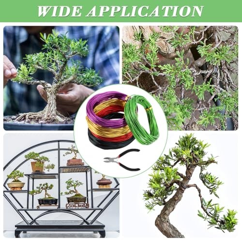 Tree Training Wire Kit - 5 Rolls (164ft),Bonsai Training Wires with Wire