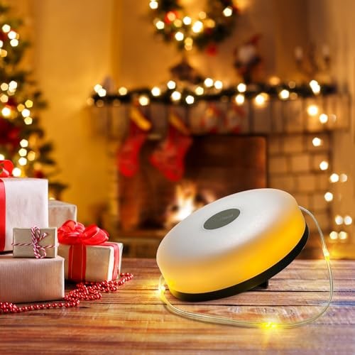 Camping Lights String Christmas: Outdoor String Light with 32.8ft (USB, 1-Pack)