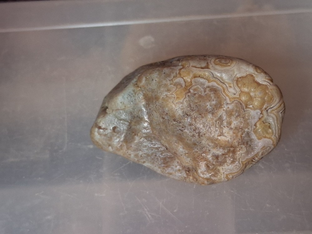 Nebraska Fairburn Agate