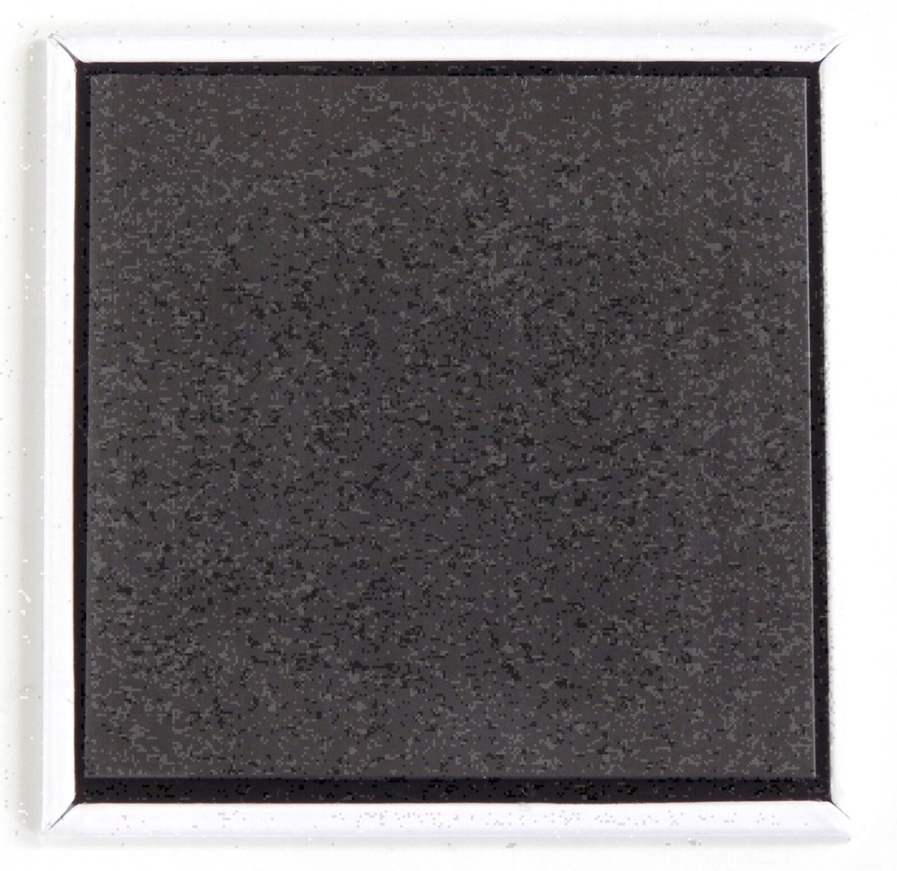 Blackberries FRIDGE MAGNET "style E"