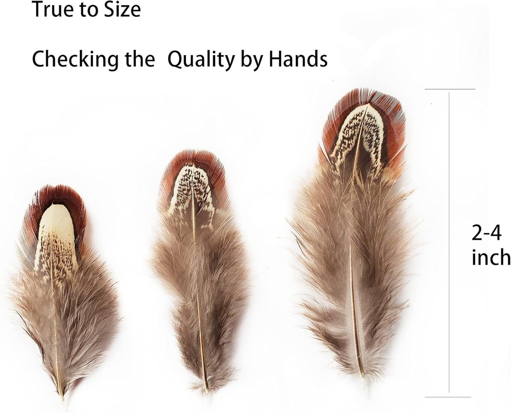 Eco-Friendly 50 Pcs Natural Pheasant Feathers - Ideal for Decorative Projects