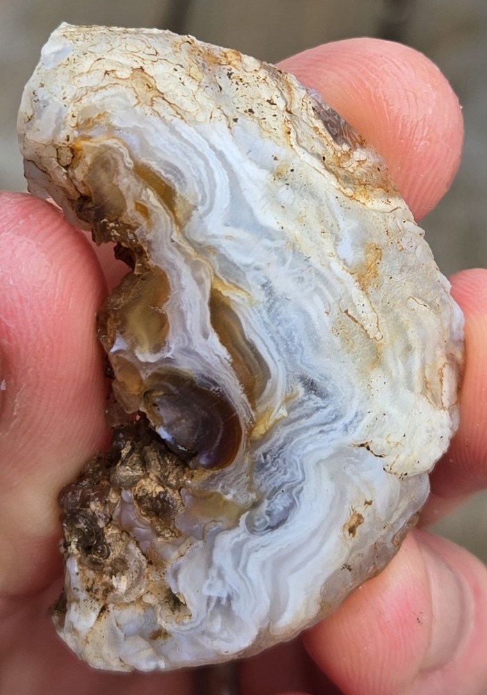 5 Oco Agate Geode Slices - Rough, Natural, Not Polished Lapidary