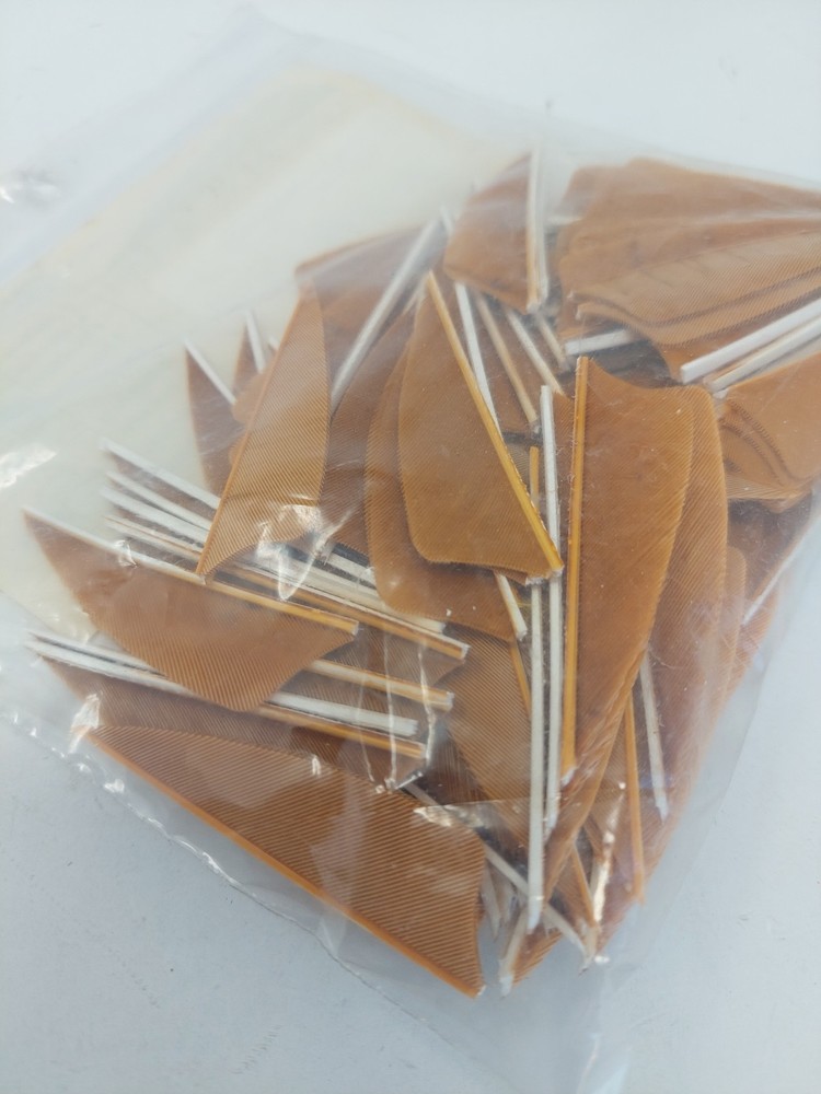 100 Pack Gateway Feathers 2.25" Left Wing: Shield Desert Brown 214LSSDB-100