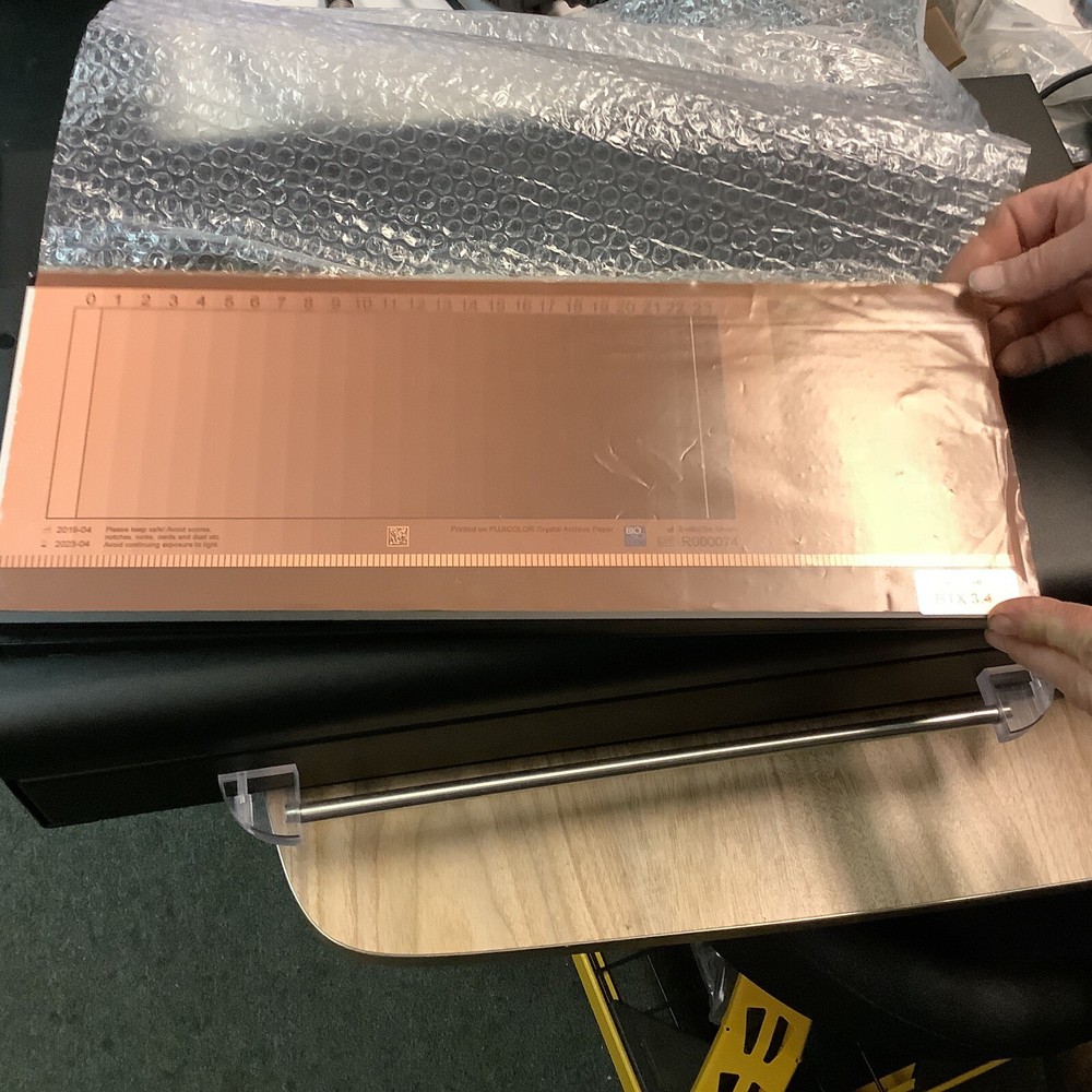 Gold Standard Diagnostics The Bolt ELISA and CLINA Analyzer An BioSciTec Reader