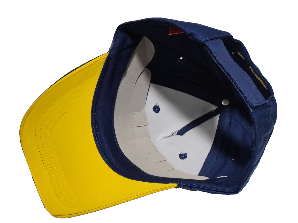 NWT. Homer Simpson Ball Cap. Adjustable. T.V. Series. 2009
