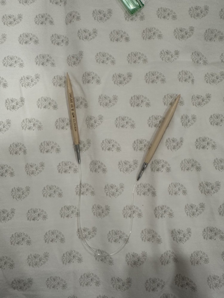 Takumi US 10 circular needle