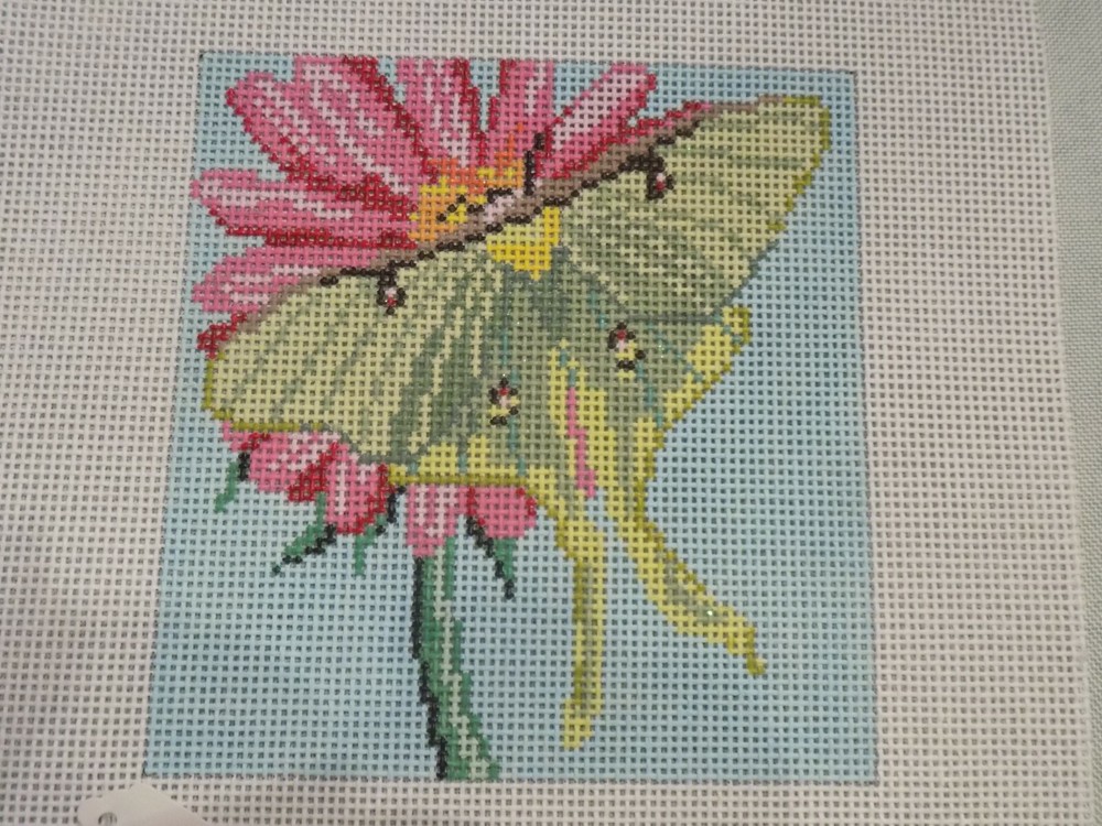 HAND PAINTED MOTH ON FLOWER