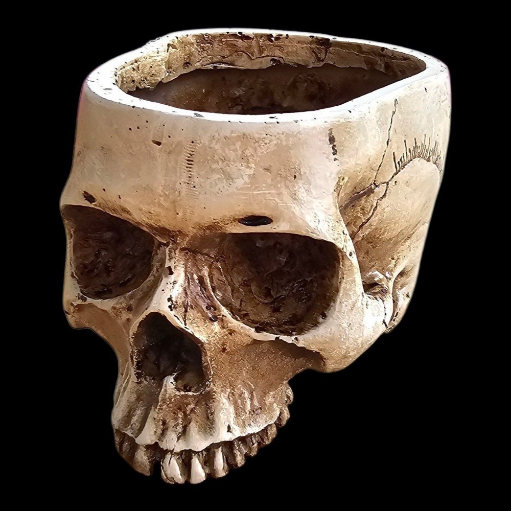 Trunk Of Requirements Experimental Test Subject Skull