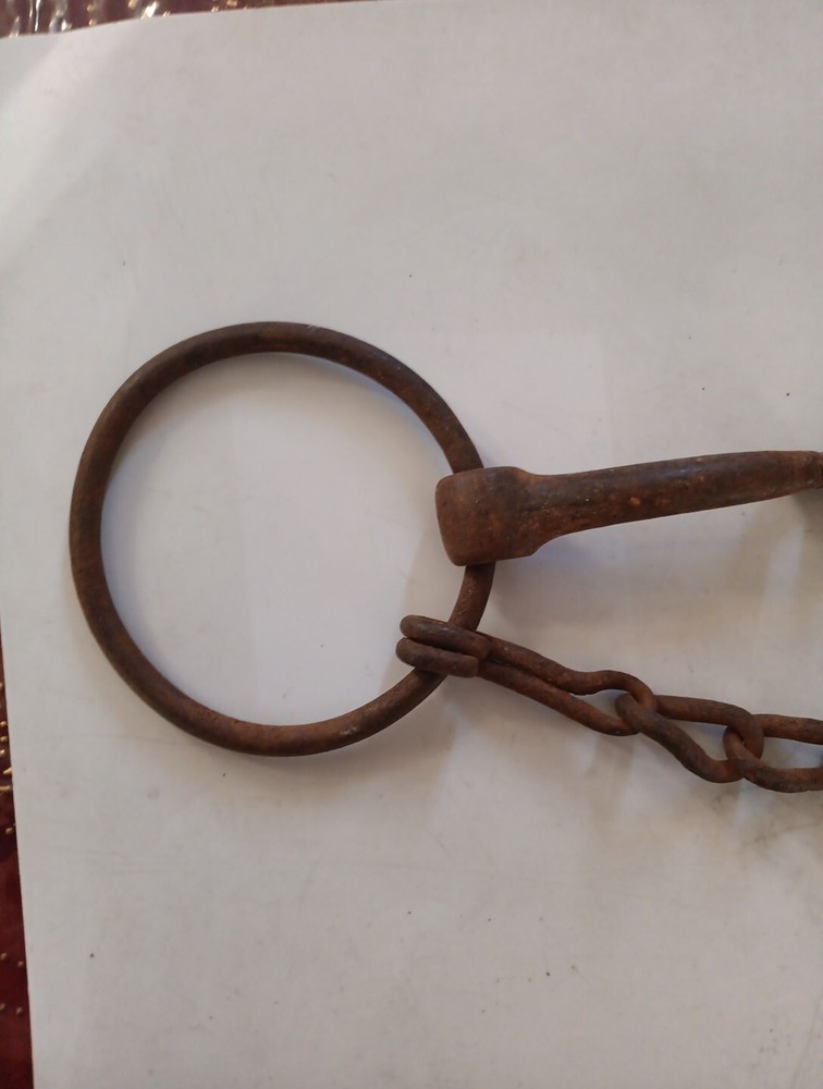 Iron Horse Harness