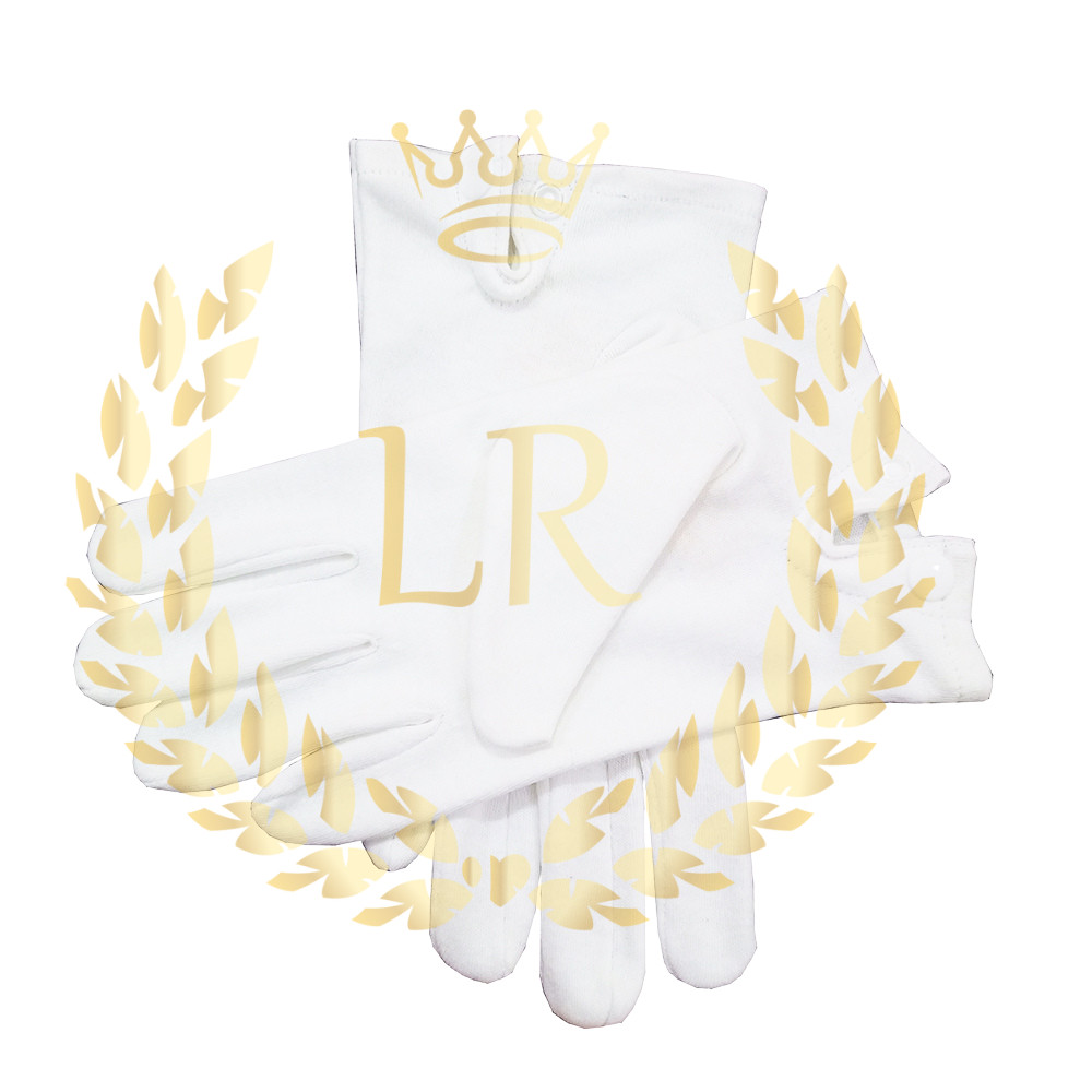 Masonic Regalia Royal Arch chapter Genuine Leather Apron, Package