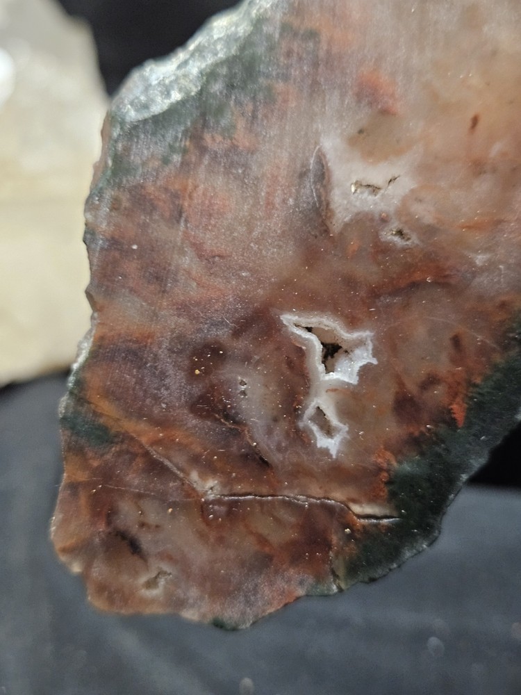 Plume Agate Multicolored Slab Specimen (1.76oz)