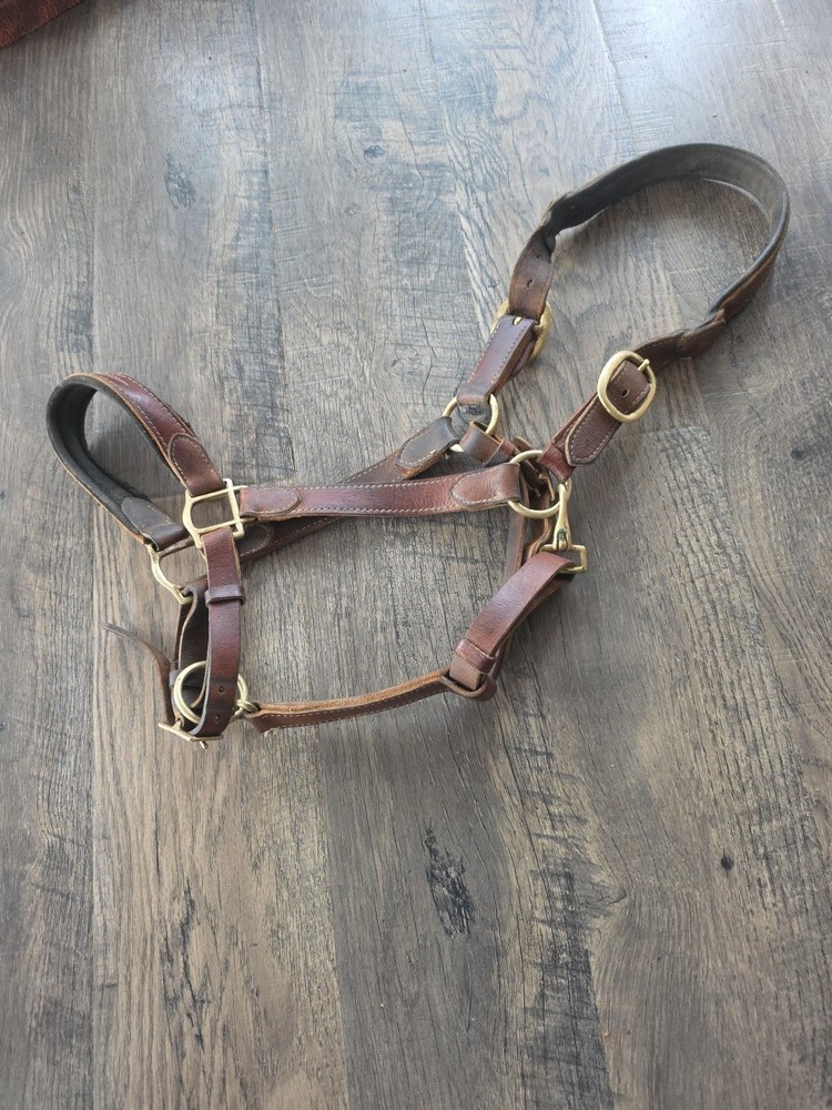 Horse Halter