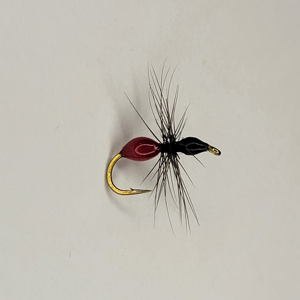 Black Flying Ant | Size #12