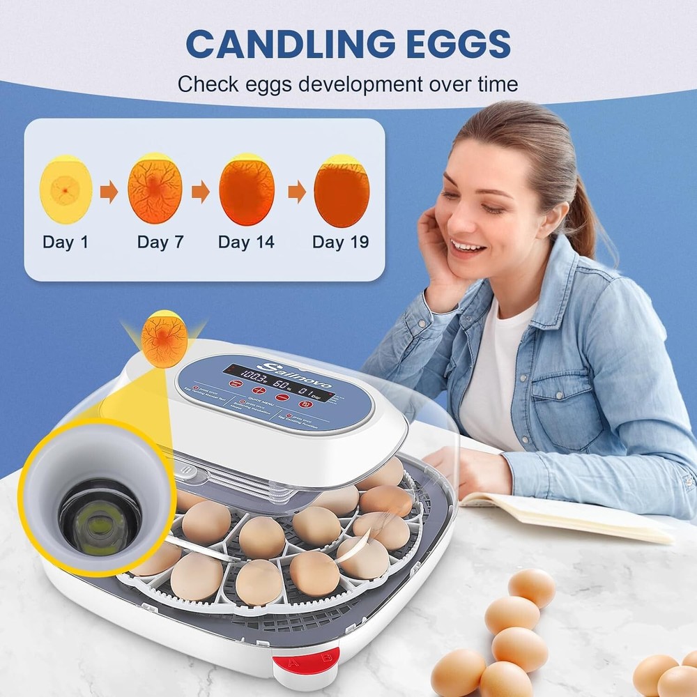24 Eggs Incubators +Automatic Egg Turning Temperature Control&Humidity Display