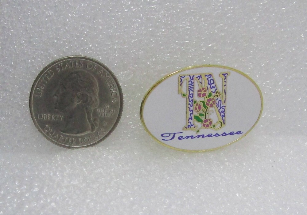 Tennessee Iris Travel Pin