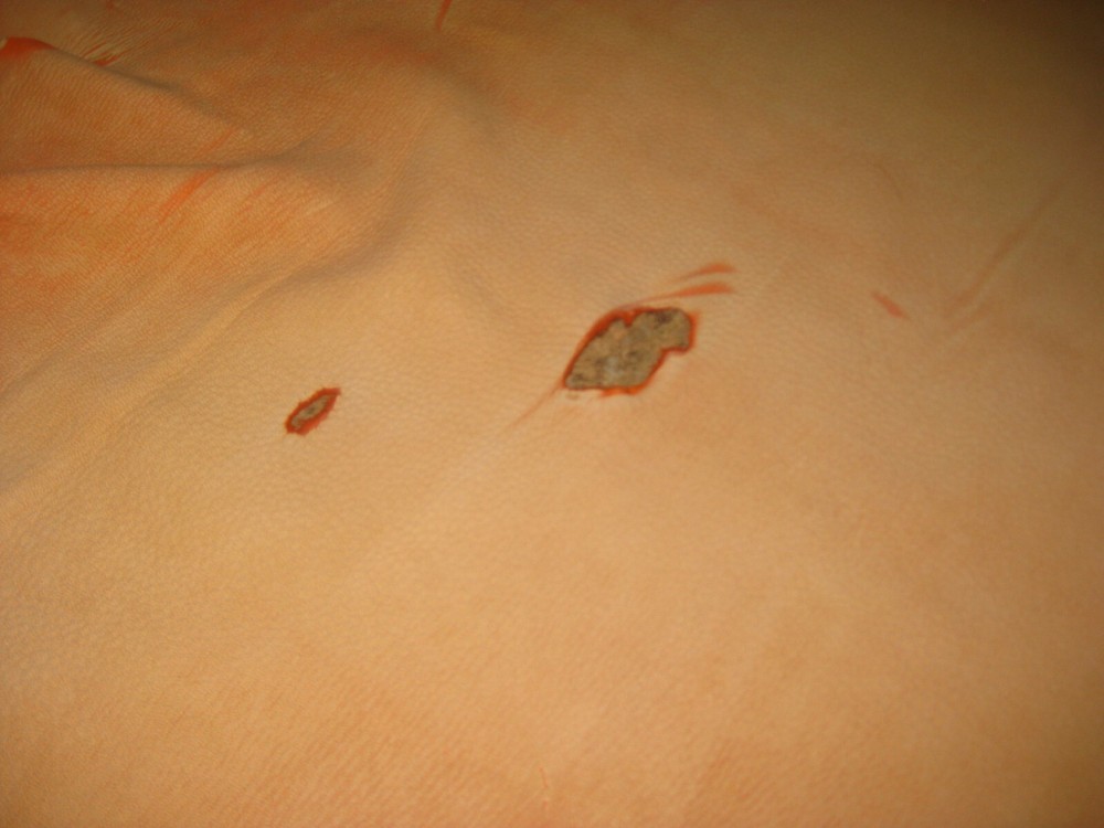Top Grain Deer Leather # 0010937 Row 16
