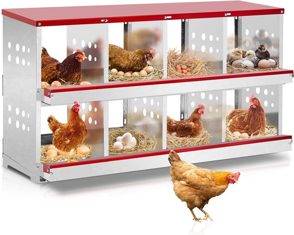 8 Compartment Chicken Metal Nesting Box, 8 Room Wall Mountable Nesting Boxes Hen