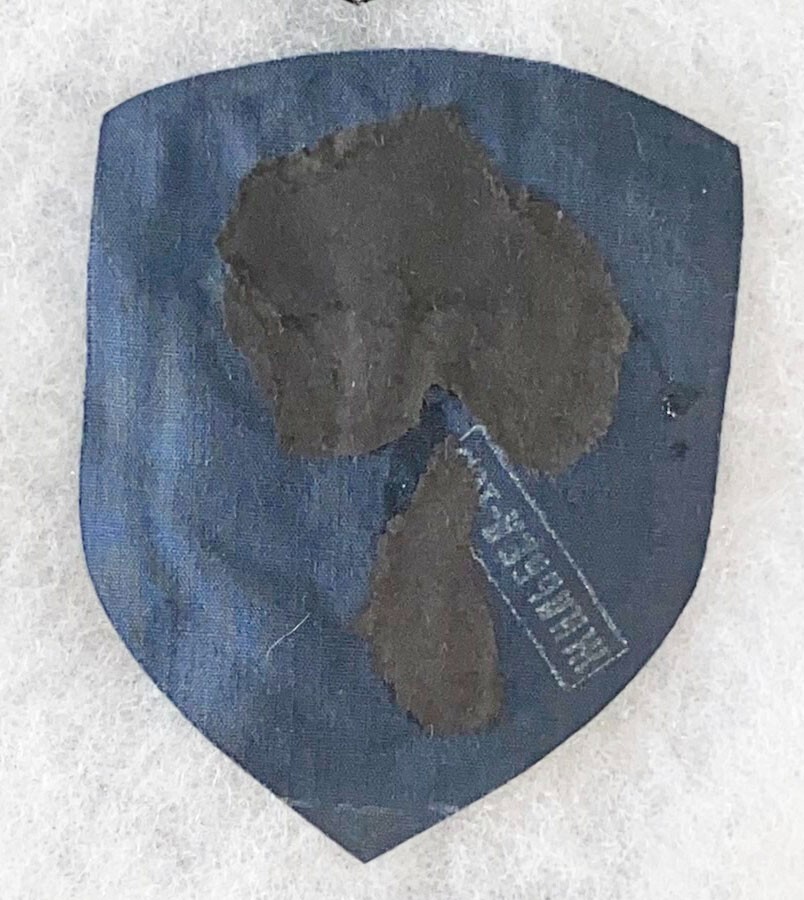 Ukranian Interior Ministry SWAT Troops Patch