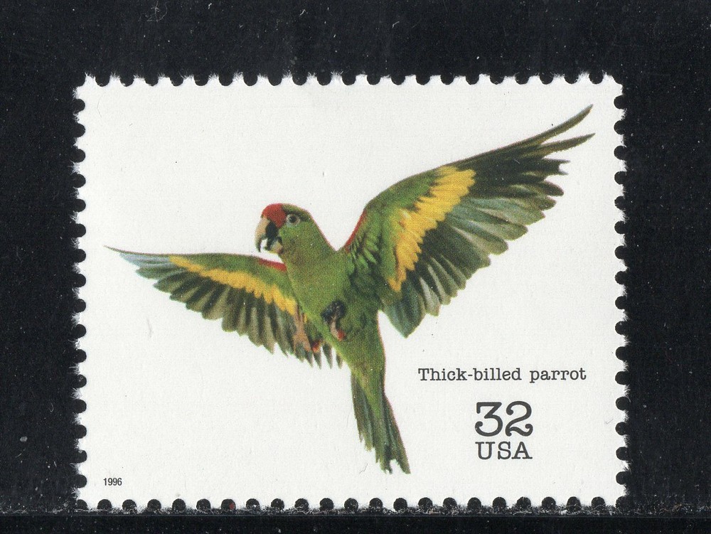 3105b * THICK BILLED PARROT *  U.S. Postage Stamp  MNH