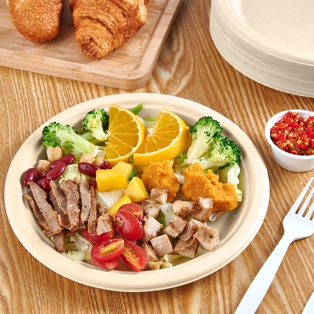 Sugarcane Bagasse 10 Inc Round plate Compostable 120ct