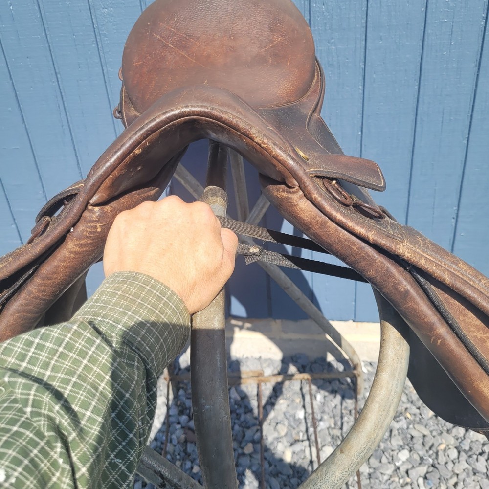Collegiate A/P 16" Saddle