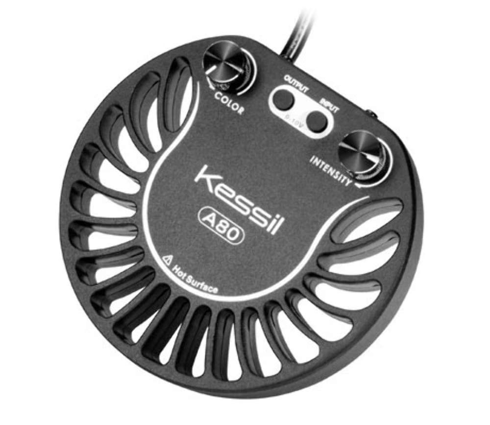 A80 Tuna Sun LED Light