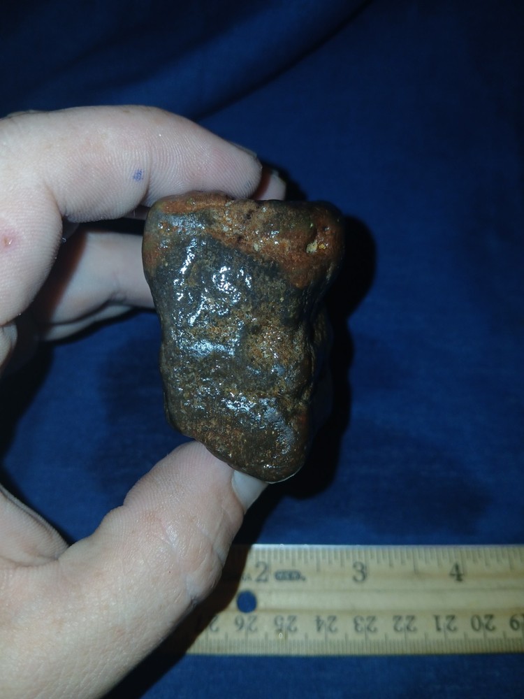 5.4 oz Agatized Petrified Wood
